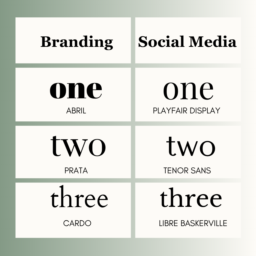 Elegant Fonts in Canva for Branding